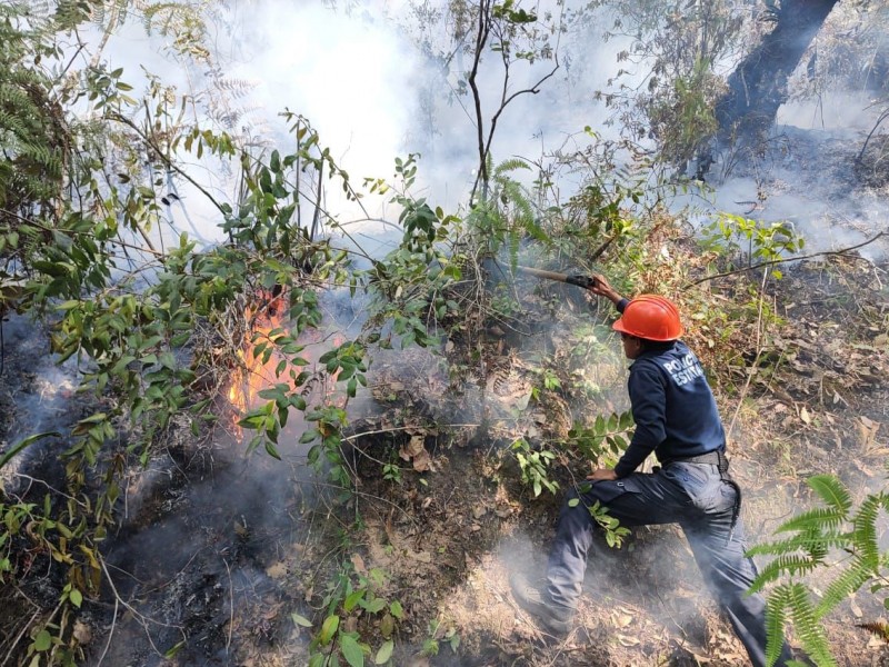 Incendio forestal se extiende hasta Nogales