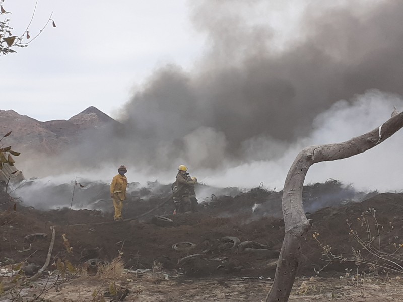 Incendio lleva más de 24 horas activo