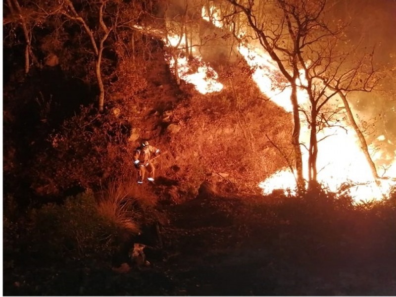 Arden 400 hectáreas en Sierra de Santa Rosa