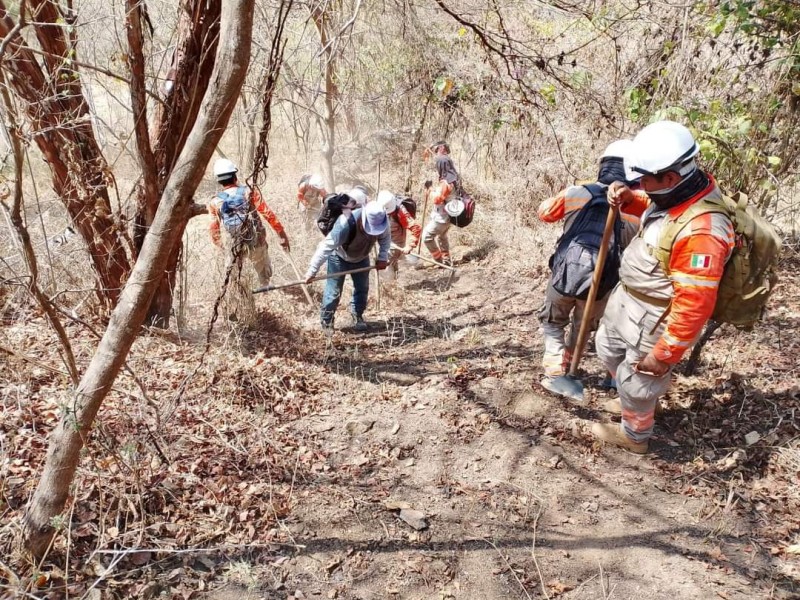 Incendios afectan a la zona Frailesca