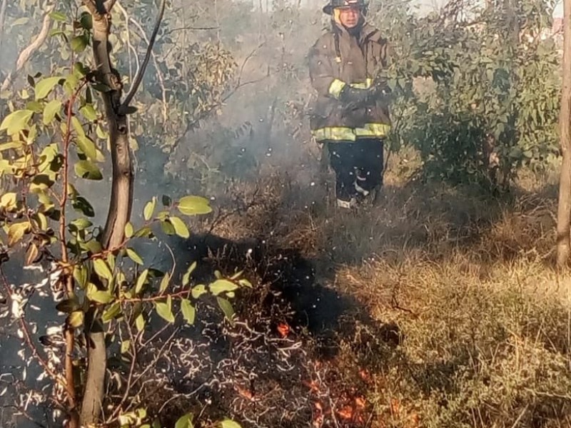 Incendios afectan La Bufa