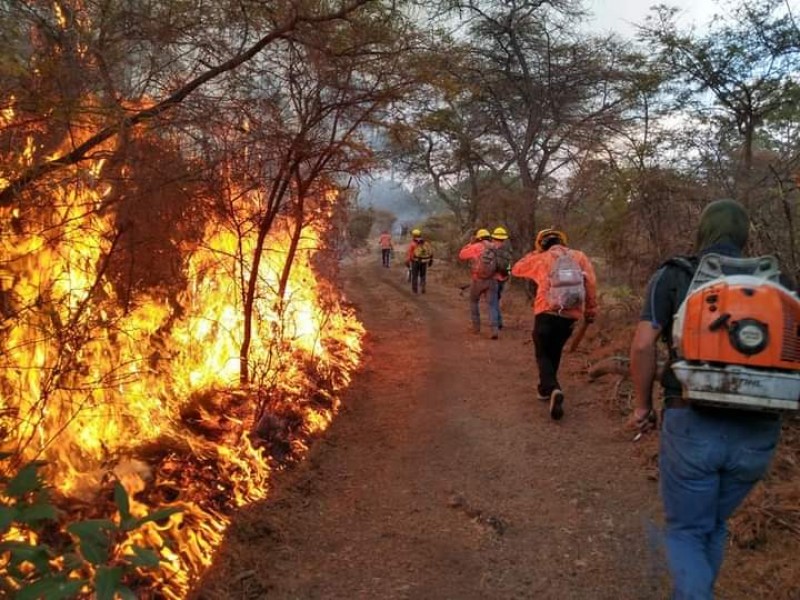 Incendios afectan otras 5 mil hectáreas en Nayarit