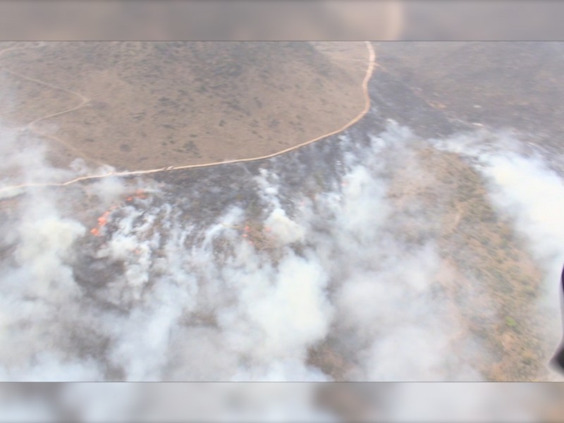 Incendios causan serio daño ambiental: Semaren