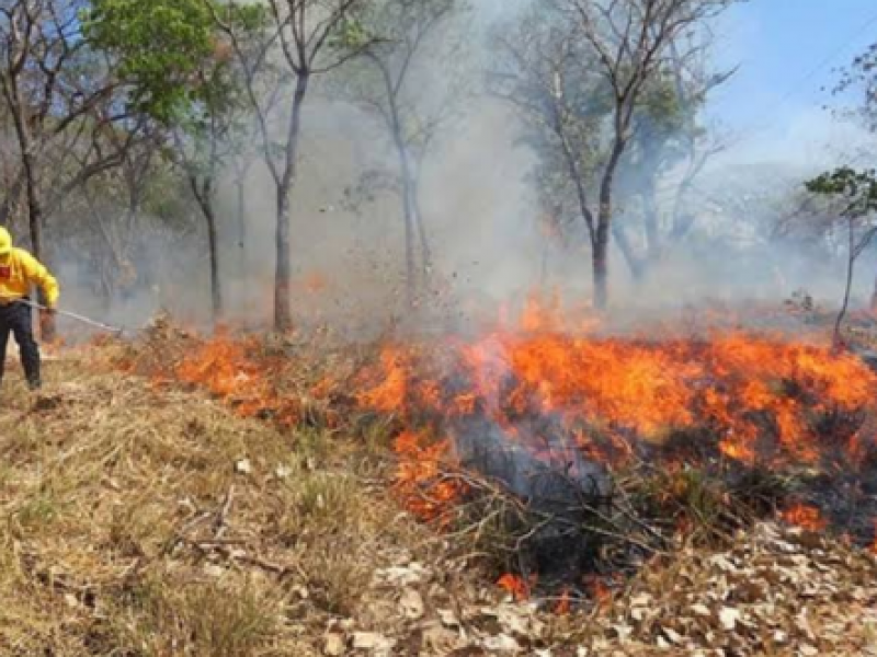 Incendios causan tapón en el Cañón del Sumidero