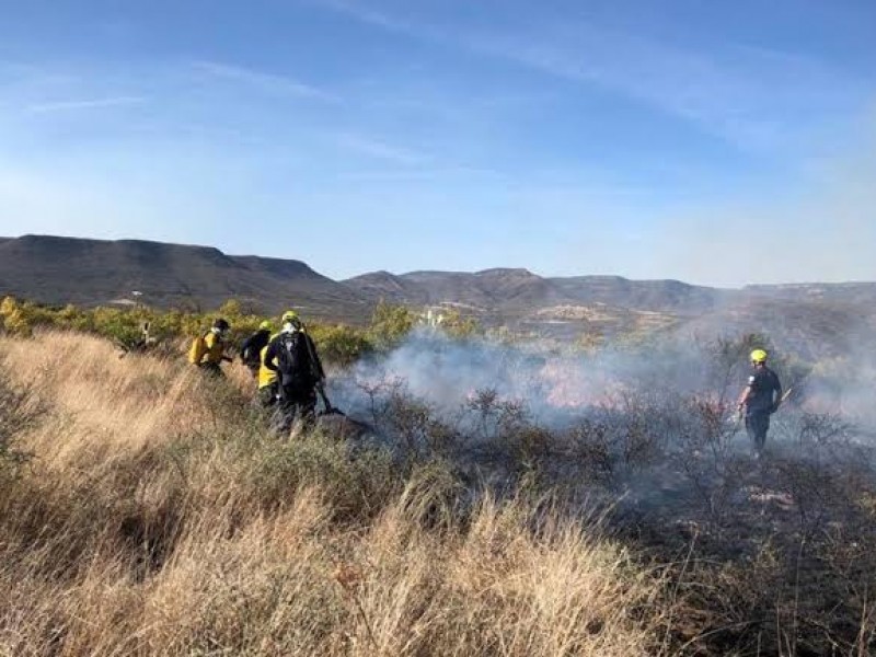 Incendios de pastizales bajan en 2019: Bomberos