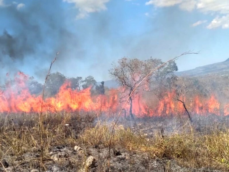 Incendios de pastizales en León el 80 por ciento son provocados: Bomberos