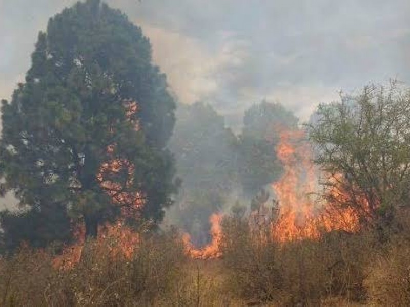 Incendios de Tapalpa y Chiquilistlán sin consecuencias graves: Alfaro