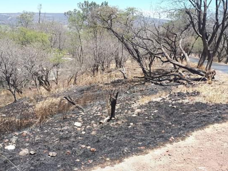 Incendios en Bosque Cuauhtémoc afectan Casita de Piedra