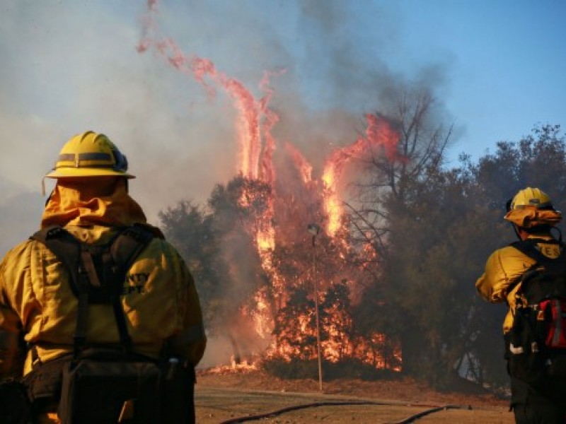 Incendios en California han dejado 84 muertos