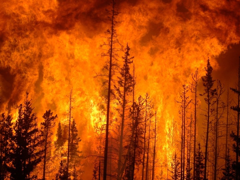 Incendios en Canadá colocan a Toronto con aire irrespirable
