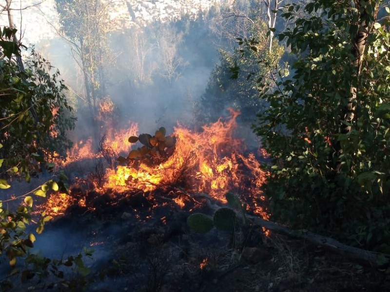 Incendios en la capital afectaron 53 hectáreas