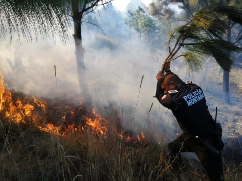 Incendios en municipios durante el fin de semana