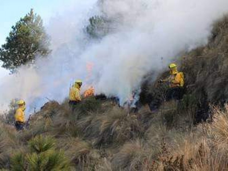 Incendios forestales acaban con bosques en región Lerma-Chapala