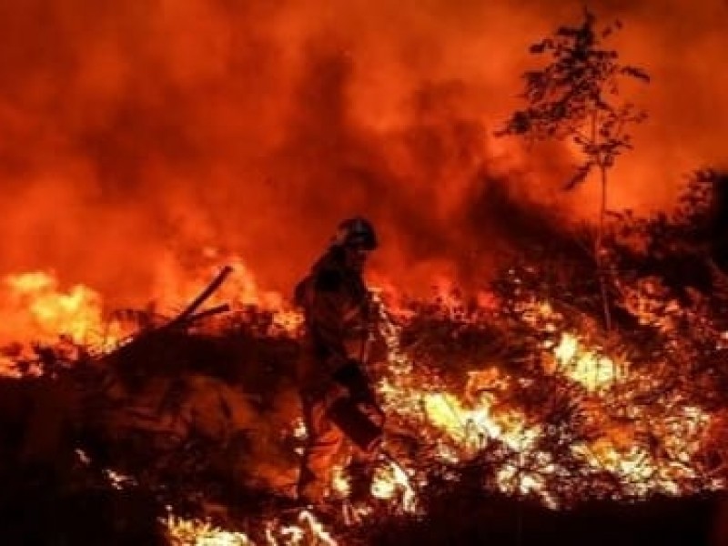 Incendios forestales afectan cuatro países en Europa