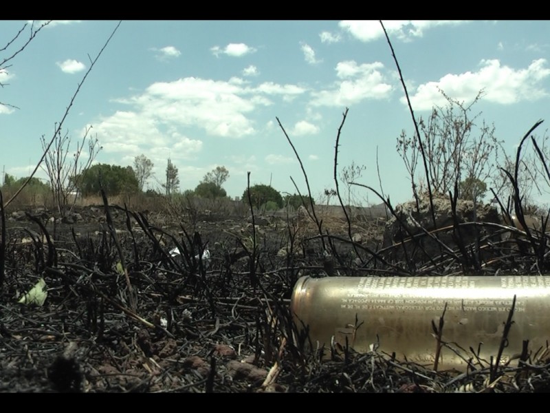 Incendios forestales aumentan 50% en temporada invernal