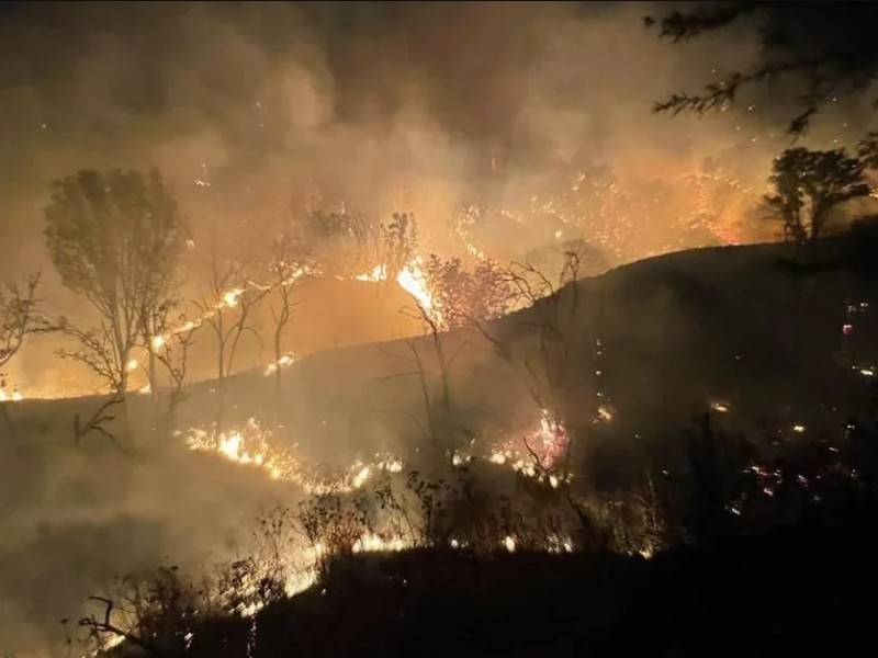 Incendios forestales bajaron 3% este año