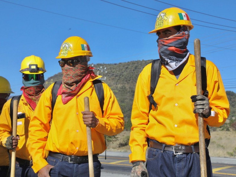 Incendios forestales bajo control, afirma gobernador