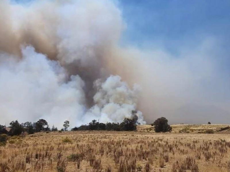 Incendios forestales consumen hectáreas en el Valle Libres-Oriental