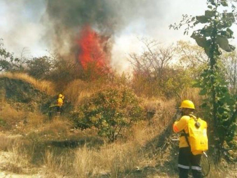 Incendios forestales consumen selvas de Oaxaca por tercer día consecutivo