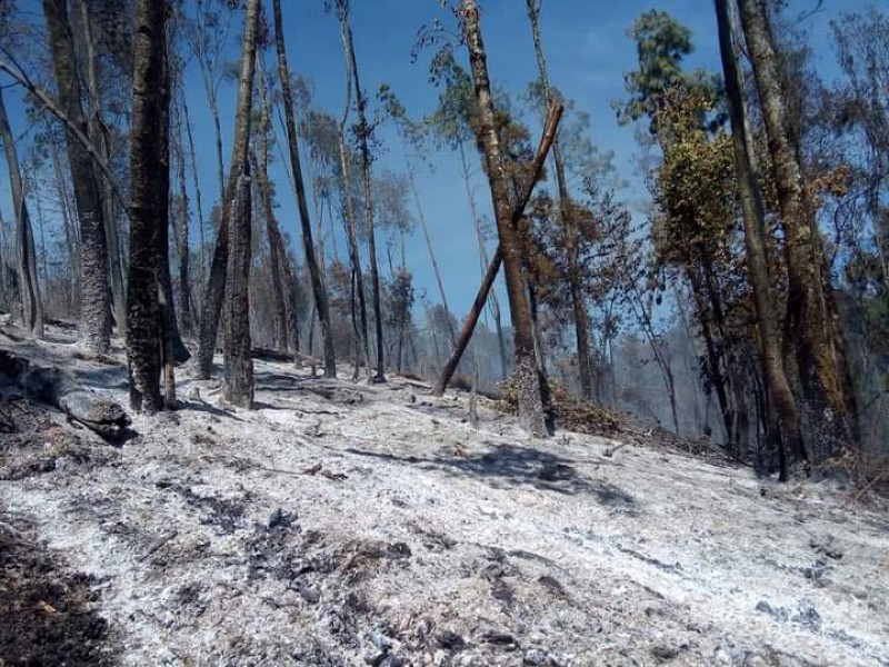 Incendios forestales en 10 municipios del Valle de Toluca