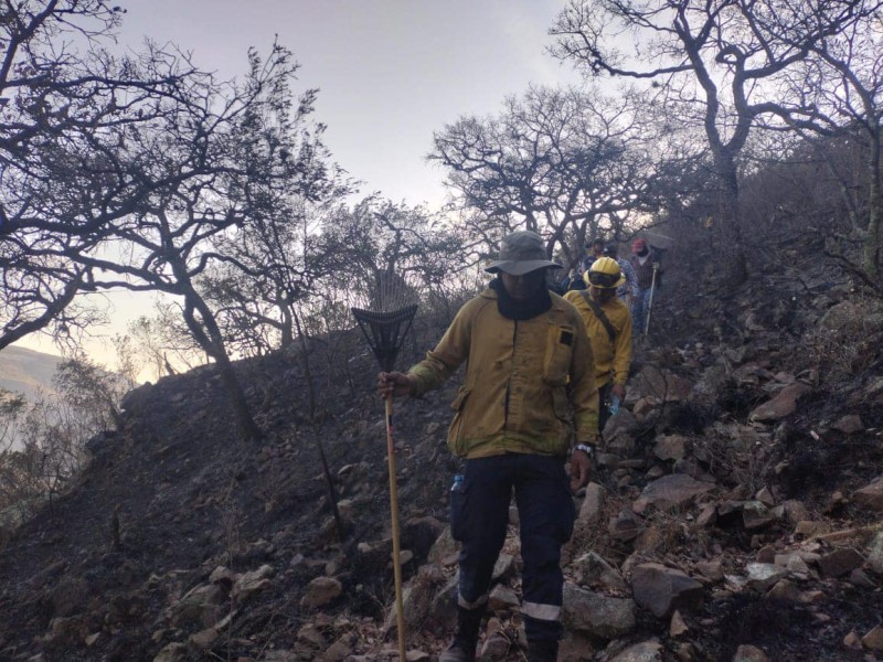 Incendios forestales en 4 municipios siguen activos