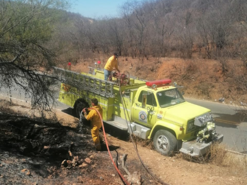 Incendios forestales en Sinaloa rebasan cifras de últimos tres años