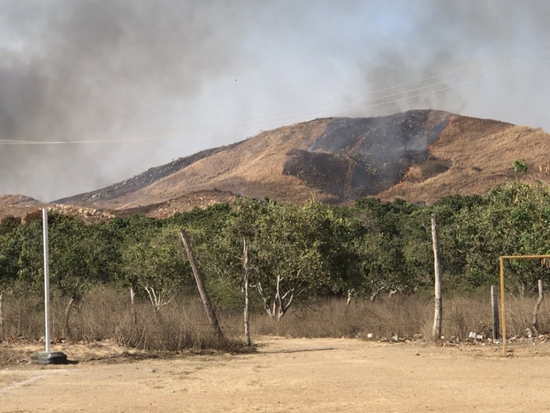 Incendios forestales han consumido 85 hectáreas en Zihuatanejo