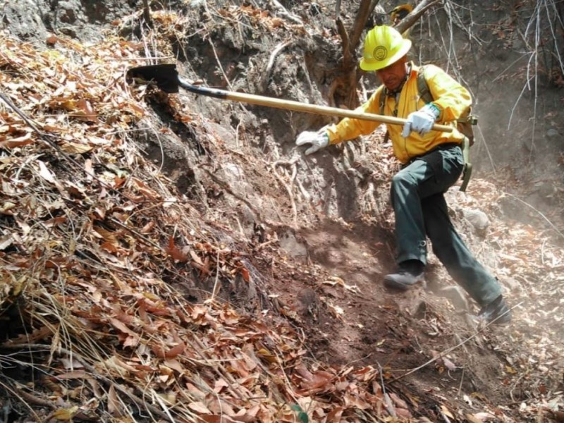 Incendios forestales imparables en el país.