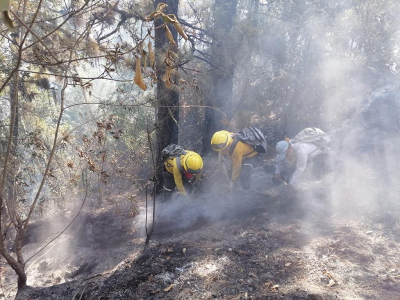 Incendios forestales incrementan, se reportan 20 este jueves