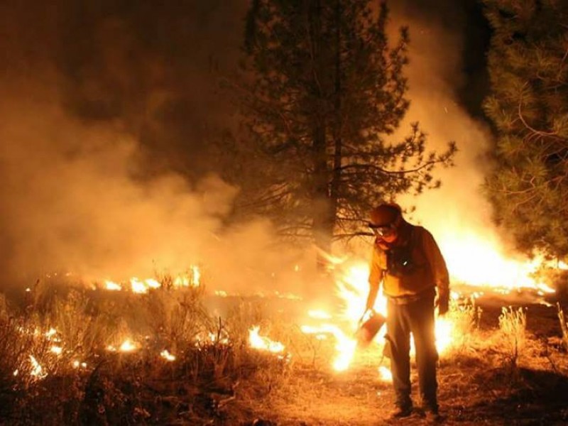Incendios forestales irán en incremento debido al cambio climático