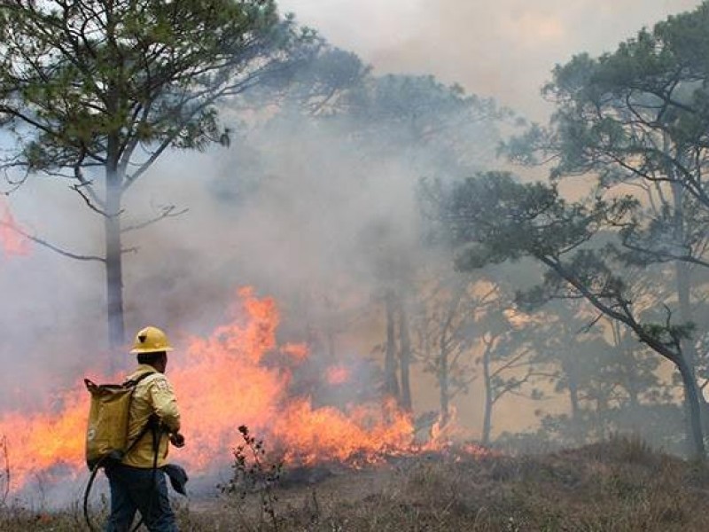 Incendios forestales podrían tener un repunte en el 2021