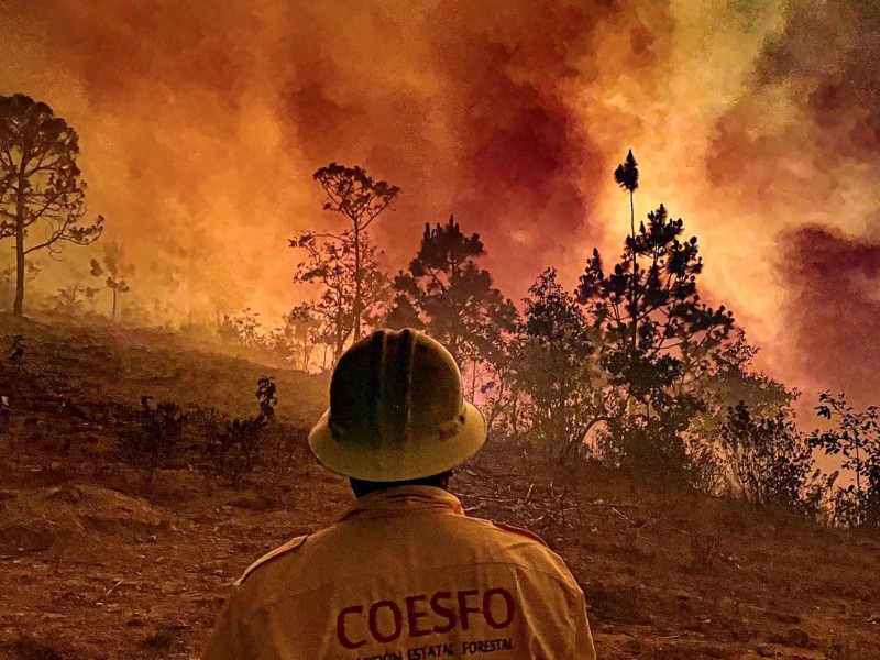 Incendios forestales se extienden en sierra de Oaxaca