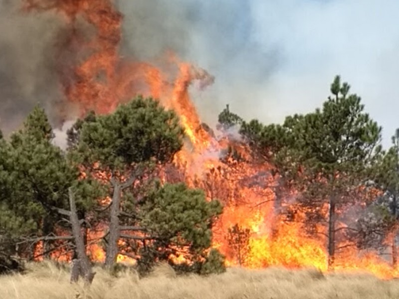 Incendios han consumido más de 7 mil hectáreas en Chiapas