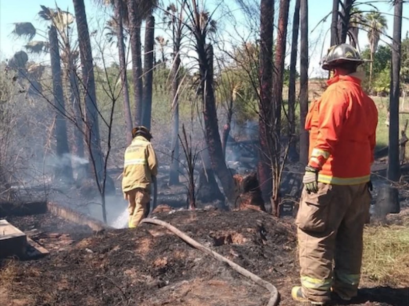 Incendios menores colapsan operatividad de bomberos en Sinaloa
