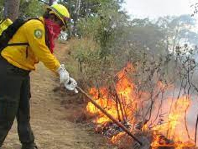 Incendios ponen a tres regiones de Chiapas en alerta naranja