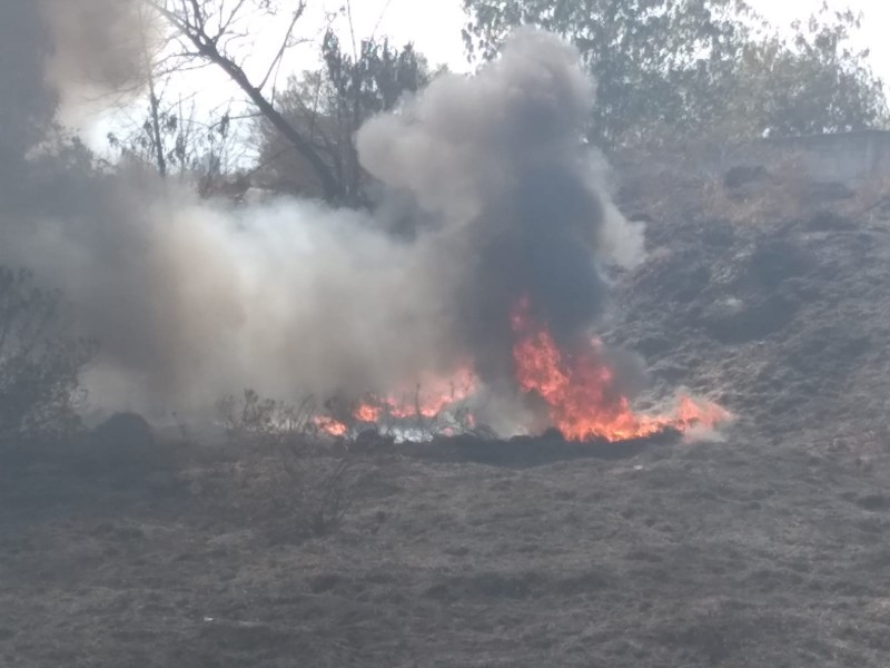 Incendios provocados en pastizales un problema que aqueja al EdoMéx