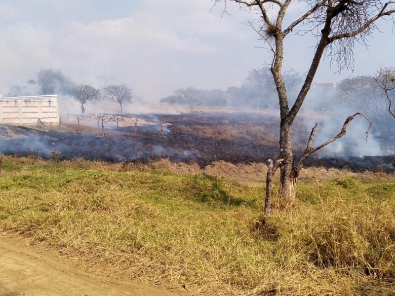 Incendios rebasan a bomberos de Xalapa; piden conformar brigadas comunitarias