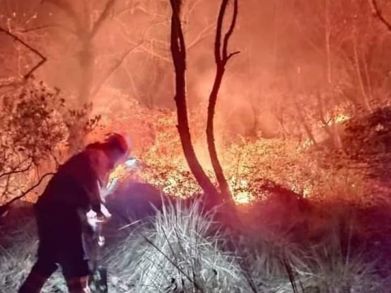 Incendios se presentan municipios de la Sierra Nororiental