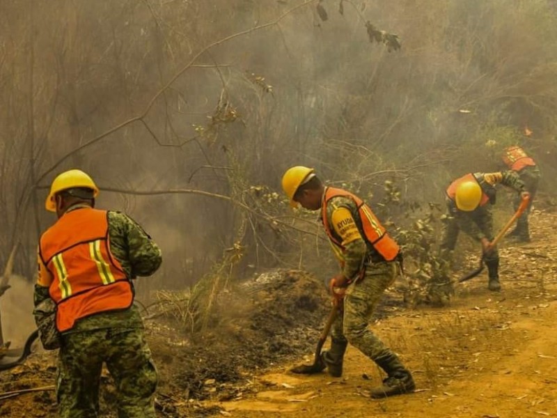 Incendios siniestran más de 400 hectáreas en la región Zamora
