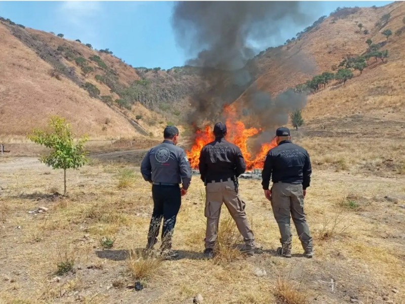 Incinera FGR en Nayarit más de 131 kilos de narcóticos