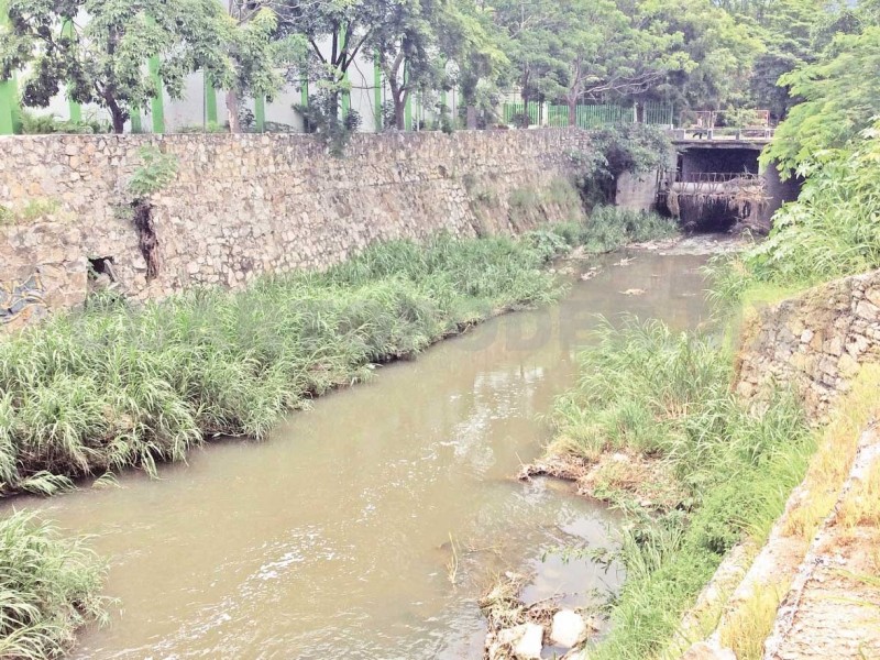 Inconsciencia ciudadana genera contaminación en el Sabinal