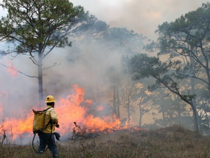 Incrementa 128% superficie afectada por incendios en 2021