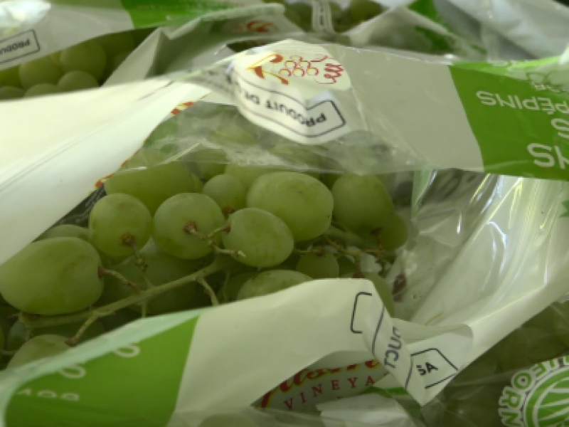 Incrementa 40% precio de la uva