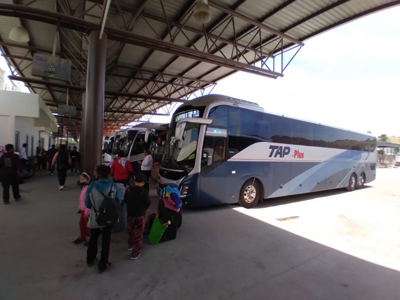 Incrementa afluencia de pasejeros en Central Camionera por Semana Santa