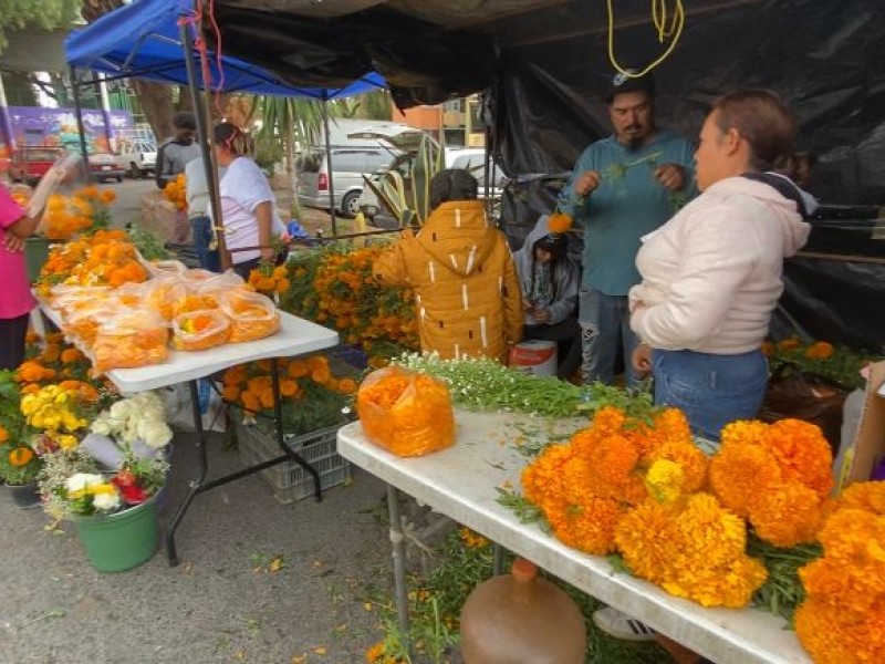 Incrementa el precio de la flor de Cempasúchil en Zacatecas