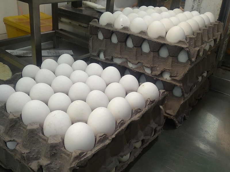 Incrementa el precio del huevo, llega a 45 pesos.