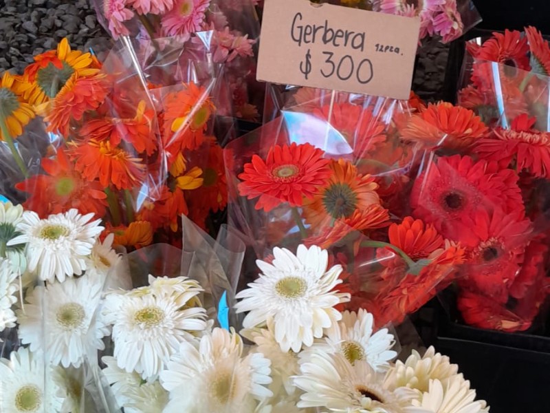 Incrementa el precio y venta de las flores