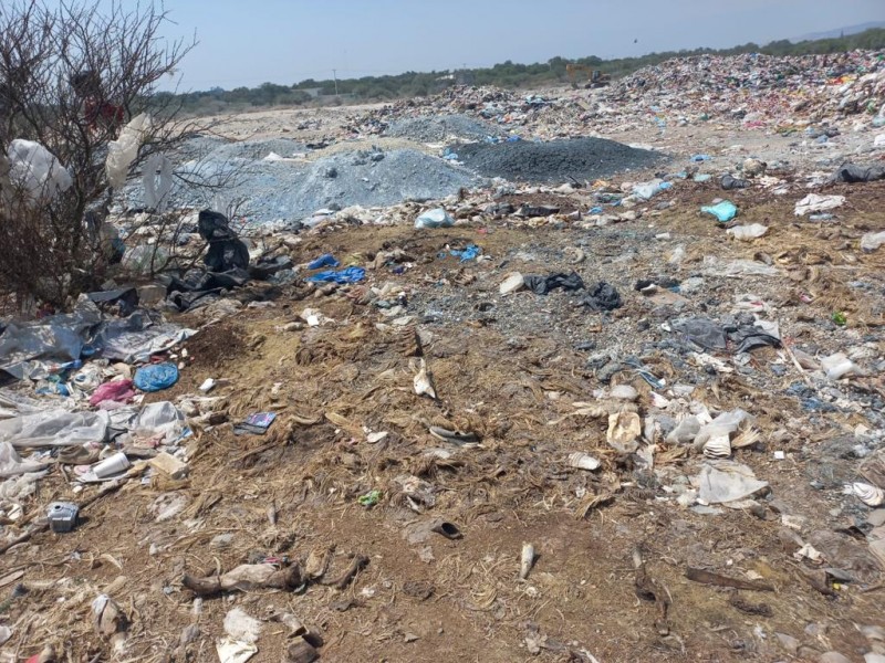 Incrementa la contaminación en San Marcos por tiradero