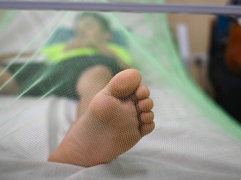 Incrementa los casos de dengue en Guasave: 81 casos confirmados