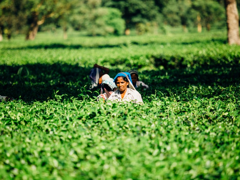 Incrementa participación de mujeres y jóvenes en el campo